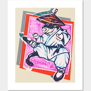 Kung Fu kitty Posters and Art